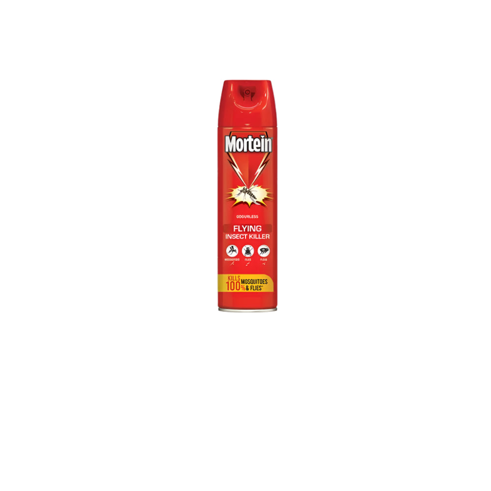 Mortein Spray 300ml